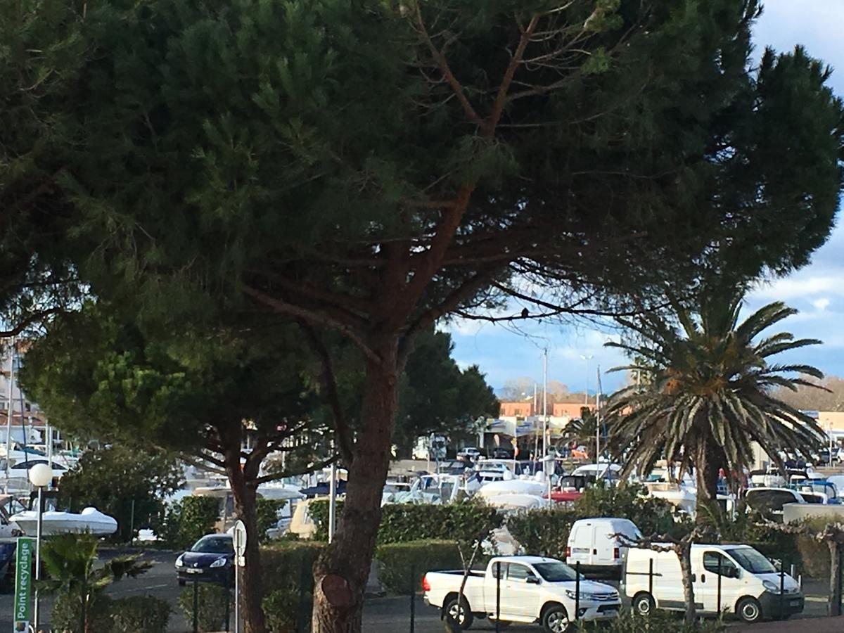 Au Coeur du Village Naturiste Agde Extérieur photo